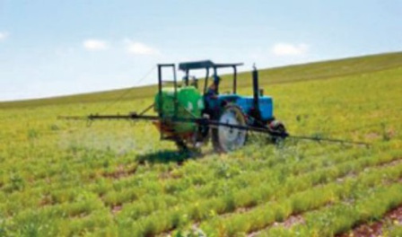 Les récentes précipitations auront un impact positif sur le couvert végétal et les activités agricoles Les récentes précipitations auront un impact positif sur le couvert végétal et les activités agricoles