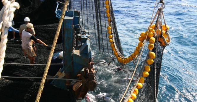 La surpêche en forte diminution en Méditerranée et en mer Noire La surpêche en forte diminution en Méditerranée et en mer Noire