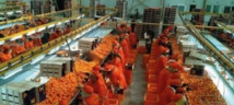 Les exportations et les importations marocaines jouent au yo-yo