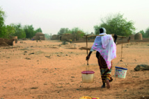 Les sécheresses, les famines et les marchés