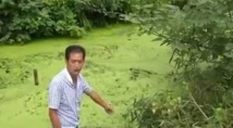 Insolite Insolite