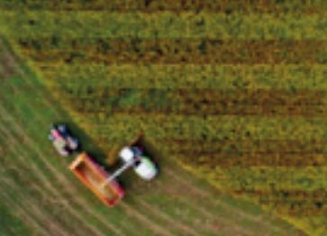 Rabat-Salé-Kénitra: Les dernières précipitations s'annoncent de bon augure pour la campagne agricole 2022-2023 Rabat-Salé-Kénitra: Les dernières précipitations s'annoncent de bon augure pour la campagne agricole 2022-2023