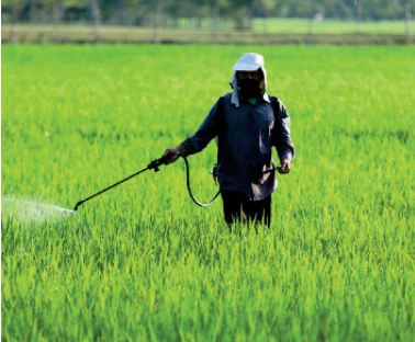 Fertilisants: Les initiatives d’OCP Africa mises en avant à Nairobi Fertilisants: Les initiatives d’OCP Africa mises en avant à Nairobi