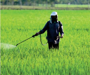 Fertilisants: Les initiatives d’OCP Africa mises en avant à Nairobi