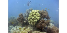 Les eaux dans les fonds océaniques ne se réchauffent plus depuis 2005 Les eaux dans les fonds océaniques ne se réchauffent plus depuis 2005
