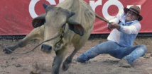 En Colombie, le Mondial de coleo, où l'art de faire chuter le taureau En Colombie, le Mondial de coleo, où l'art de faire chuter le taureau