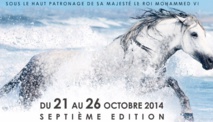 Le Salon du cheval da'El Jadida, un évènement aux multiples dimensions Le Salon du cheval da'El Jadida, un évènement aux multiples dimensions