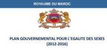 Les ONG pointent du doigt la vacuité de l’évaluation du Plan gouvernemental de l’égalité Les ONG pointent du doigt la vacuité de l’évaluation du Plan gouvernemental de l’égalité