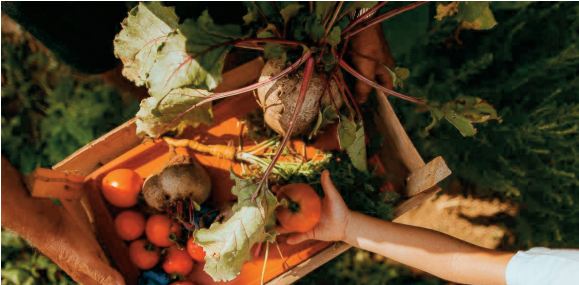 La moitié des jeunes enfants américains ne mange pas un légume par jour