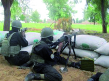 Des dizaines de combattants de Boko Haram tués au Cameroun Des dizaines de combattants de Boko Haram tués au Cameroun