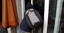 Insolite Insolite