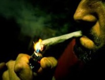 Le Maroc préside les travaux du Congrès arabe de lutte contre la drogue Le Maroc préside les travaux du Congrès arabe de lutte contre la drogue