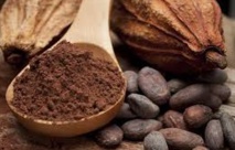Les flavanols de cacao pourraient freiner le déclin cognitif Les flavanols de cacao pourraient freiner le déclin cognitif