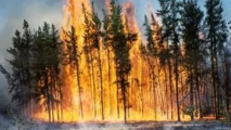 ​Programme de coopération Maroc-Etats-Unis pour la gestion des feux de forêt