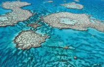 Le plan australien ne sauvera pas la Grande barrière de corail Le plan australien ne sauvera pas la Grande barrière de corail