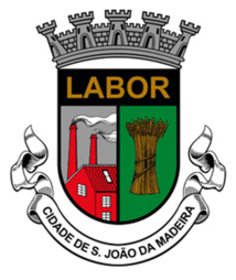 Sao Joao da Madeira, la ville portugaise qui veut chausser les Chinois Sao Joao da Madeira, la ville portugaise qui veut chausser les Chinois
