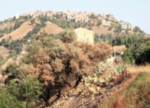 ​Le prix Green Apple Award Trophy décerné  à une revue environnementale marocaine