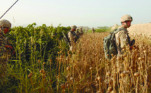 L'armée canadienne met en place un suivi mental de ses troupes L'armée canadienne met en place un suivi mental de ses troupes