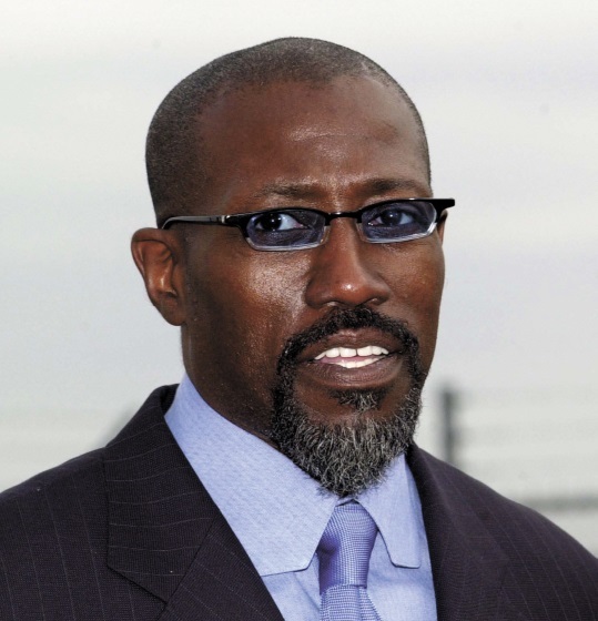 Les stars qui ont perdu de l'argent ou qui ont fait faillite : Wesley Snipes