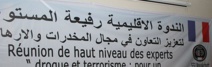 ​Lancement d’une revue électronique sur le terrorisme