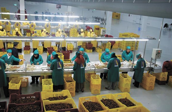 La diaspora marocaine en appelle à la simplification des procédures La diaspora marocaine en appelle à la simplification des procédures