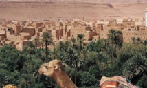 Le troisième Forum international des oasis s’attaque à l’agriculture familiale Le troisième Forum international des oasis s’attaque à l’agriculture familiale