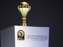 A qui l’organisation de la Coupe d’Afrique des nations profite-t-elle ? A qui l’organisation de la Coupe d’Afrique des nations profite-t-elle ?