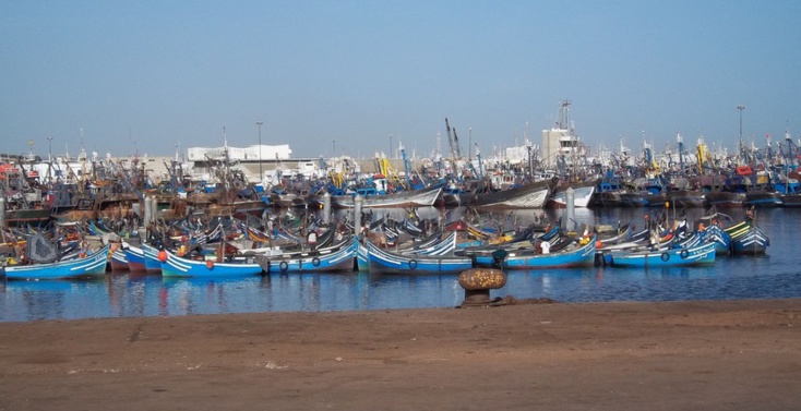 44 hauturiers bravent l’interdiction de pêche édictée par le département d’Akhennouch 44 hauturiers bravent l’interdiction de pêche édictée par le département d’Akhennouch