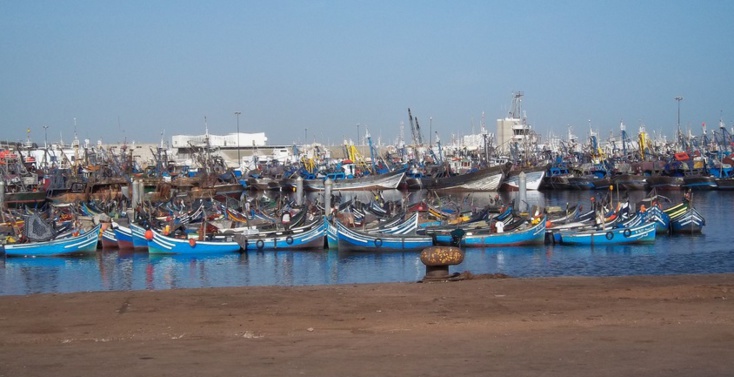 44 hauturiers bravent l’interdiction de pêche édictée par le département d’Akhennouch