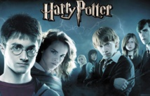 ​C'est Noël avant l'heure  pour les fans de Harry Potter