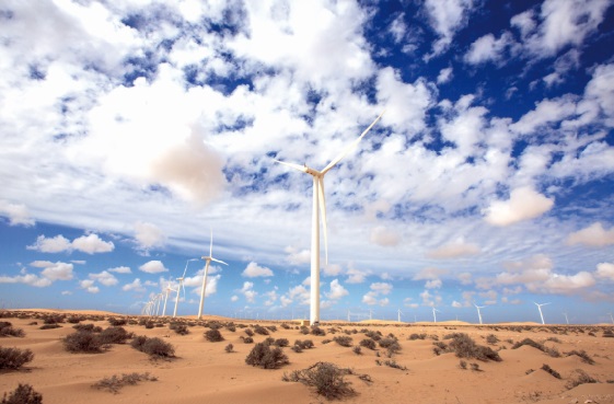 ​Du rififi autour du parc éolien de Tarfaya