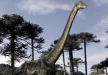 Les dinosaures n'ont jamais rencontré les oiseaux modernes Les dinosaures n'ont jamais rencontré les oiseaux modernes