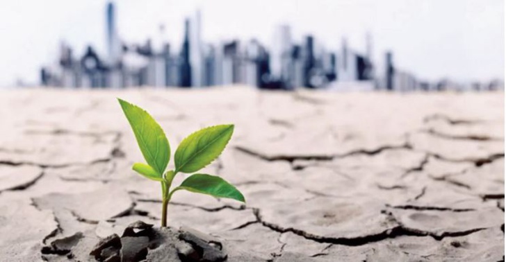 Suivre notre conversation sur l'action climatique Suivre notre conversation sur l'action climatique