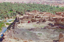 Forum régional des oasis à Assa-Zag Forum régional des oasis à Assa-Zag