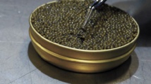 Du caviar albinos "made in Vietnam" Du caviar albinos "made in Vietnam"