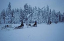 Importante hausse des températures en Finlande Importante hausse des températures en Finlande