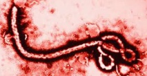 L'infirmière britannique n’avait aucun symptôme d’Ebola L'infirmière britannique n’avait aucun symptôme d’Ebola