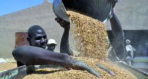 Deux erreurs à éviter pour assurer l’autosuffisance alimentaire en Afrique Deux erreurs à éviter pour assurer l’autosuffisance alimentaire en Afrique