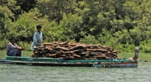 Le déclin de la mangrove, barrière naturelle contre les cyclones au Pakistan Le déclin de la mangrove, barrière naturelle contre les cyclones au Pakistan
