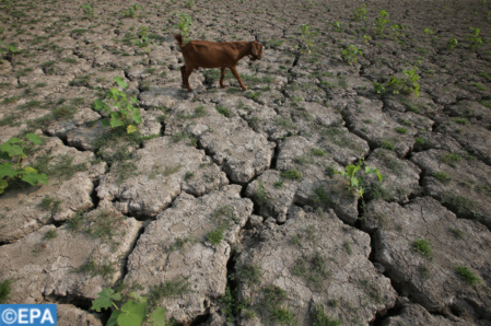 La "Déclaration de Riyad" souligne la nécessité de faire face aux défis climatiques