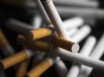 Les chances d'arrêt du tabac liées à la vitesse d'élimination de la nicotine Les chances d'arrêt du tabac liées à la vitesse d'élimination de la nicotine