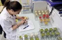Des stéréotypes intellectuels sexistes pénalisent les femmes dans les sciences Des stéréotypes intellectuels sexistes pénalisent les femmes dans les sciences