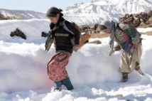 Branle-bas de combat contre les méfaits de la vague de froid Branle-bas de combat contre les méfaits de la vague de froid
