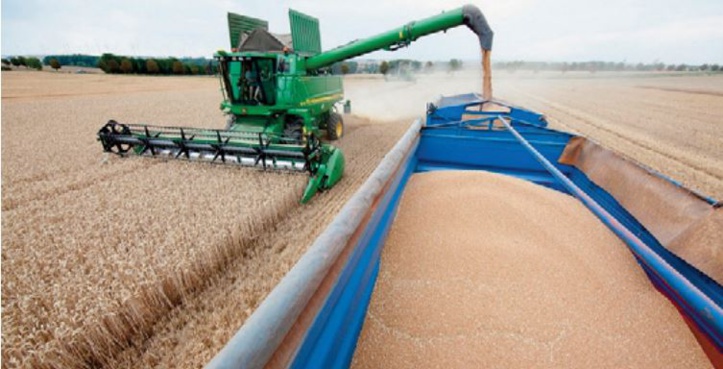 Le Nord décide et le Sud subit Le Nord décide et le Sud subit