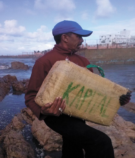 La plage d’Aïn Diab rejette une cargaison de chira