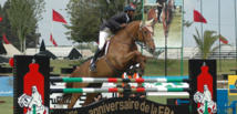 Equitation infos