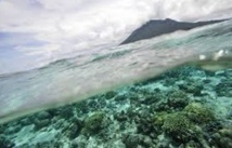 ​L'impact du réchauffement priorité de la recherche  sur les océans