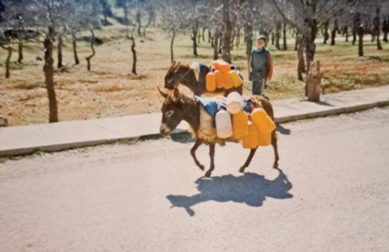 REPORTAGE. La pénurie d’eau vue par ceux qui en pâtissent le plus ! REPORTAGE. La pénurie d’eau vue par ceux qui en pâtissent le plus !
