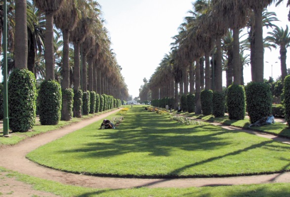 Casablanca manque toujours d’espaces verts Casablanca manque toujours d’espaces verts