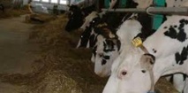 Un nouveau SMIT aux aguets Un nouveau SMIT aux aguets